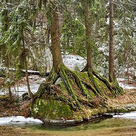 Amselgrundschloesschen Königstein an der Elbe